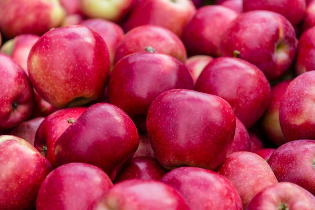Red, red apples!
