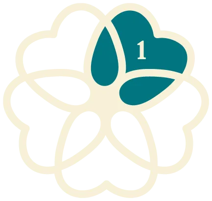 Pure Place Segment