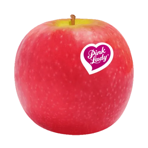 Pink Lady