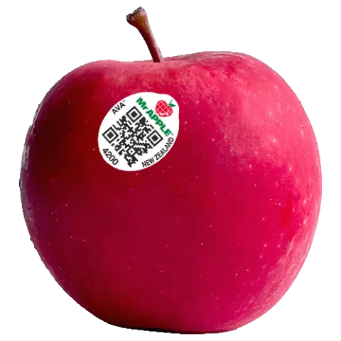 Mr Apple Ava